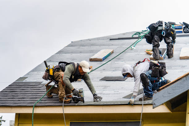 Professional Storm Damage Roof Repair technician working in Hillsboro, TX